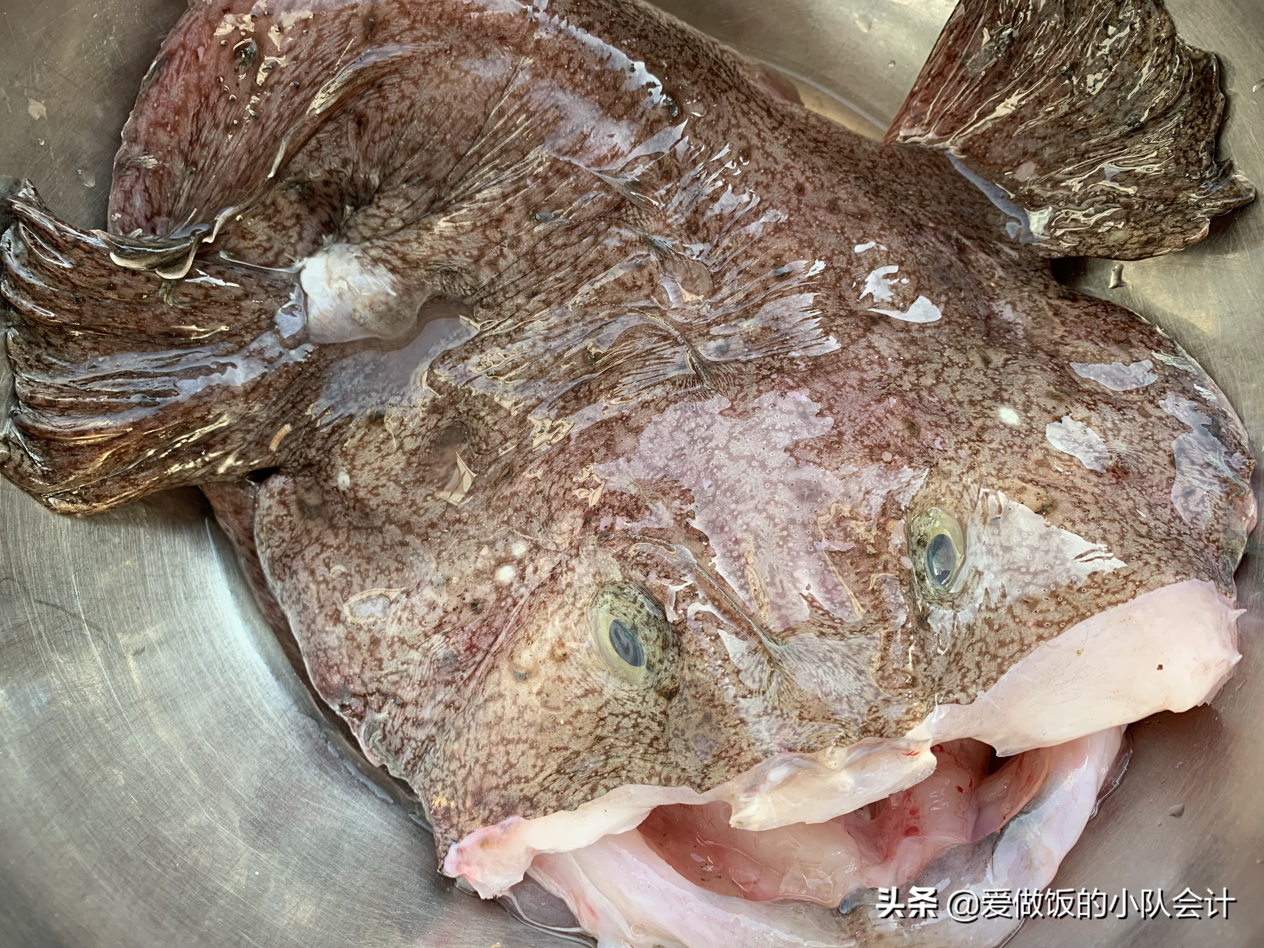 春天，这鱼正鲜美，6元一斤，别看长得丑，肉嫩肝肥，味道特别鲜
