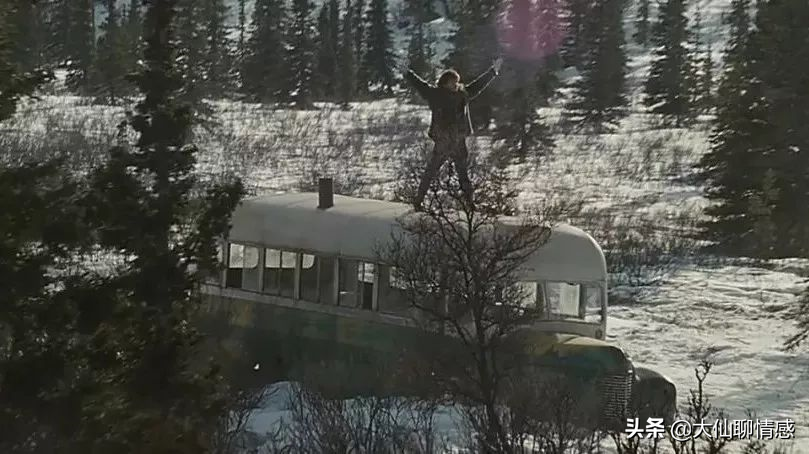 离奇失踪的22岁哈佛学生，死在了一辆废弃巴士里——《荒野求生》