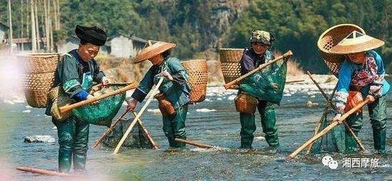 湘西三种常见与三种稀有美食，虫和草都有，去湘西玩一定别错过