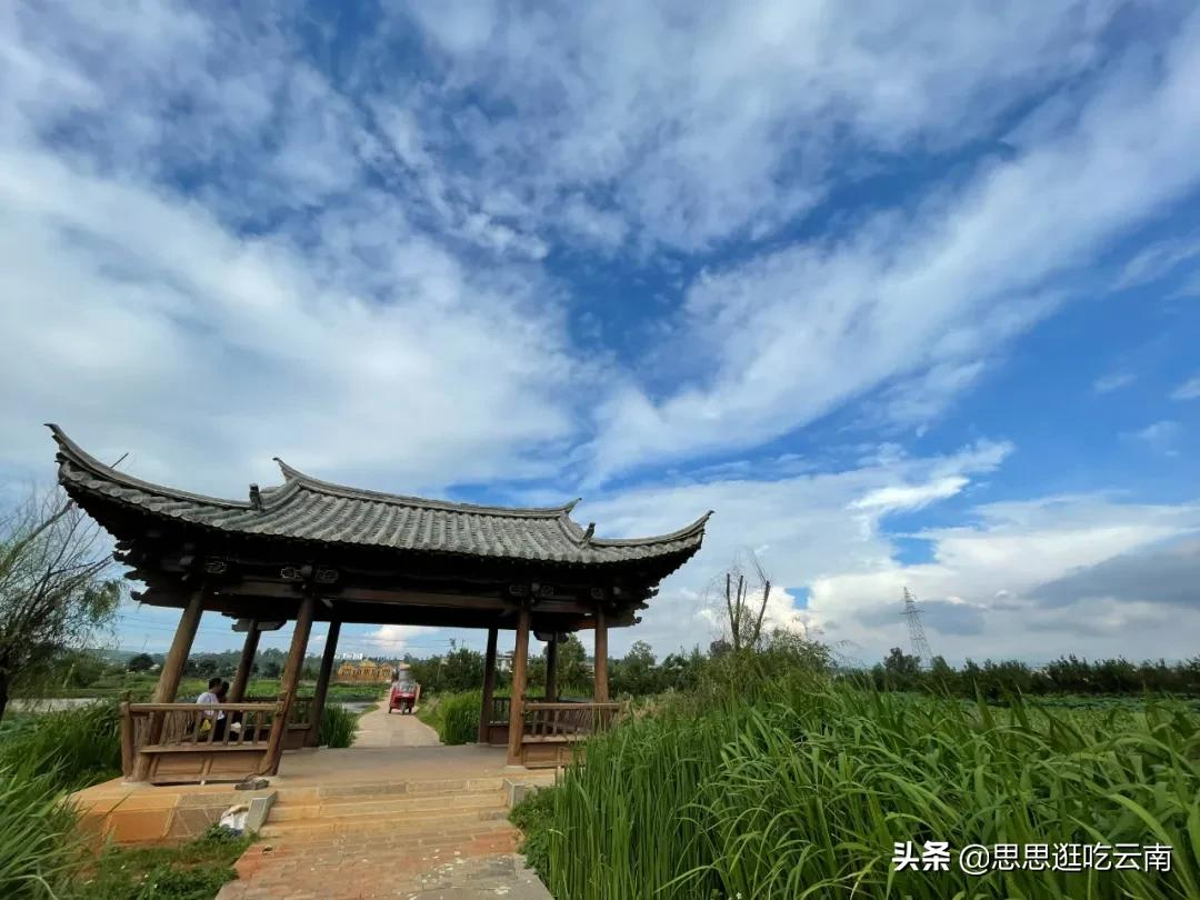 云南建水,藏在巷巷里的秘密花园,这些小店才是yyds