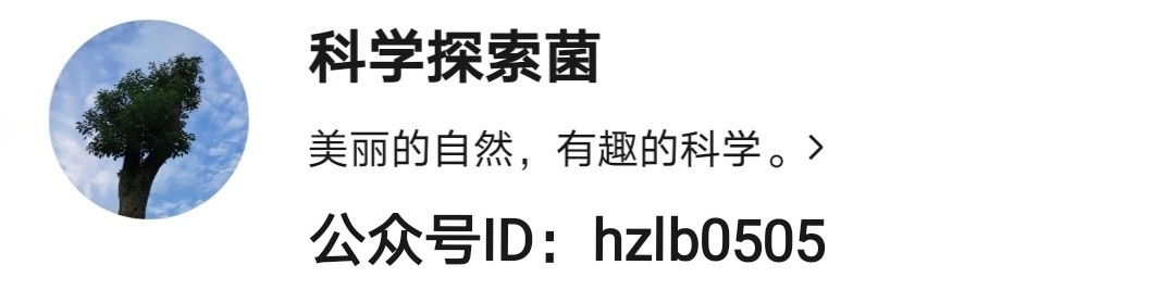 圆周率已算到几十万亿位，科学家还要继续，如此执着是为了什么？