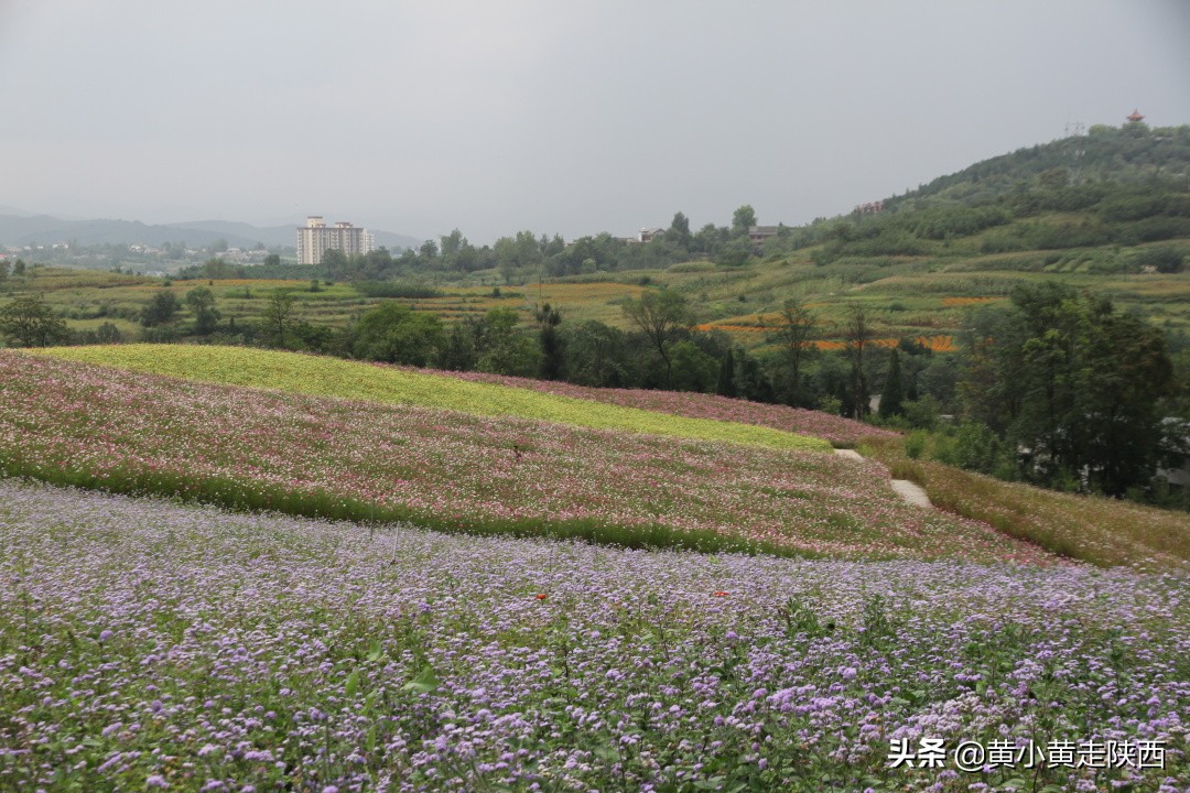 秦岭骨灰级自驾穿越线路，从西安到丹凤，翻越两条山脉一片盆地