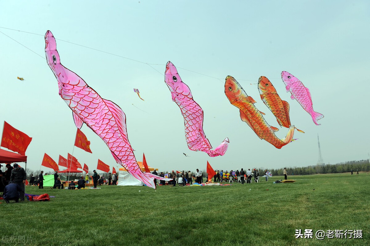 第38届潍坊国际风筝节即将启幕，最新的活动安排和交通信息来了