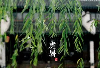 节气表二十四节气歌（节气表二十四节气歌词）-第17张图片-科灵网