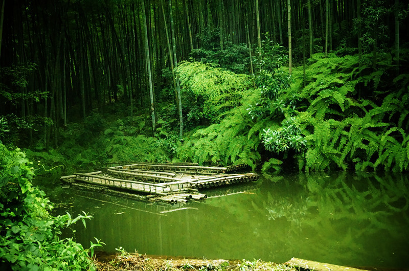 春水碧于天，画船听雨眠，用诗词带你去旅行，湖光山色尽在其中