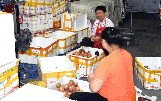 这里是漳州最早的早市，漳州这个地方可以买到超级便宜的水果