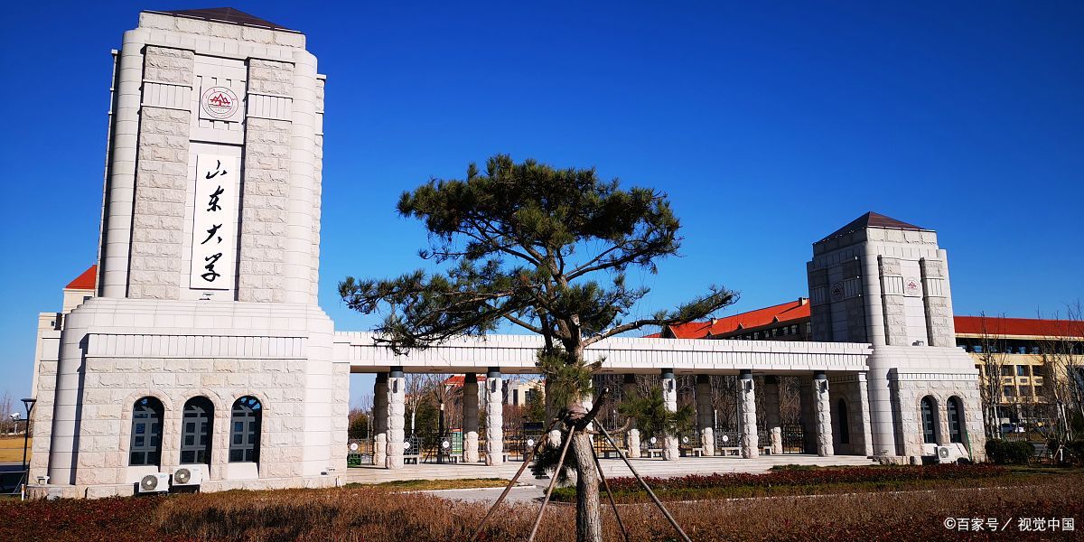山东大学威海校区录取分数线（山东省大学录取分排名前10）