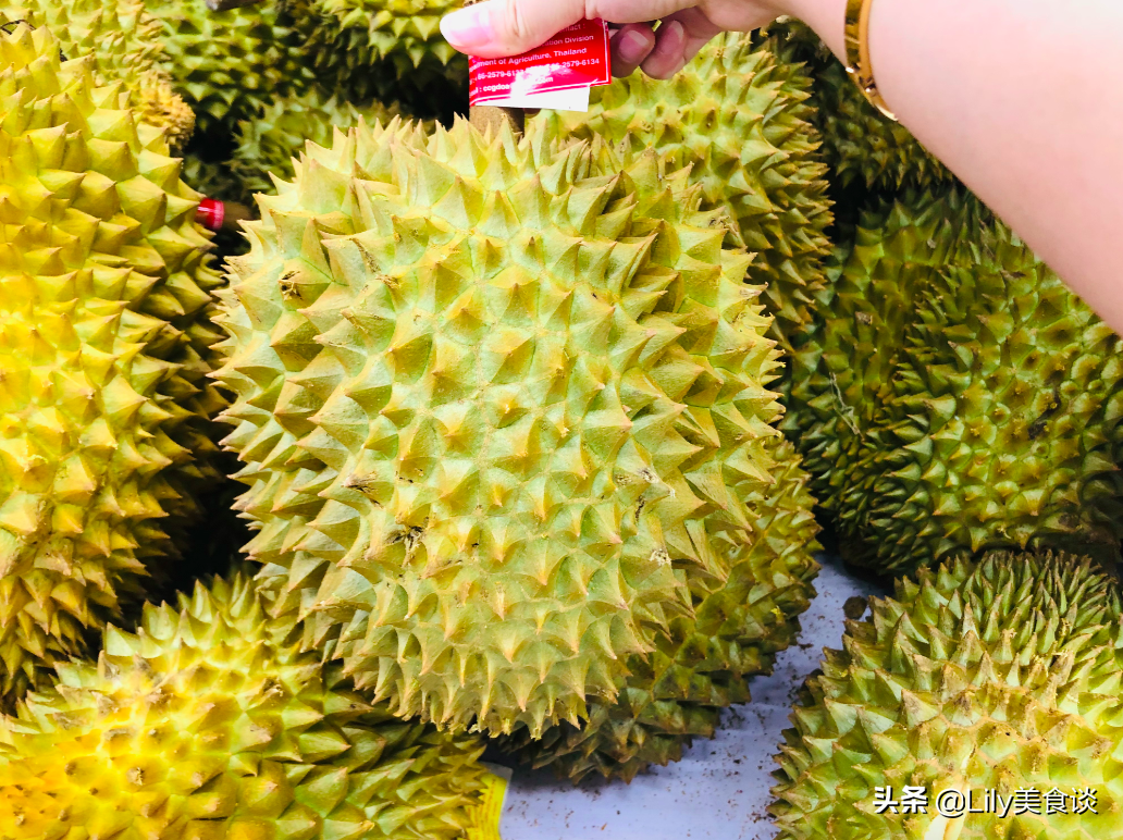 买榴莲时,教你4妙招,选出"母榴莲",一挑一个准,皮薄肉又多