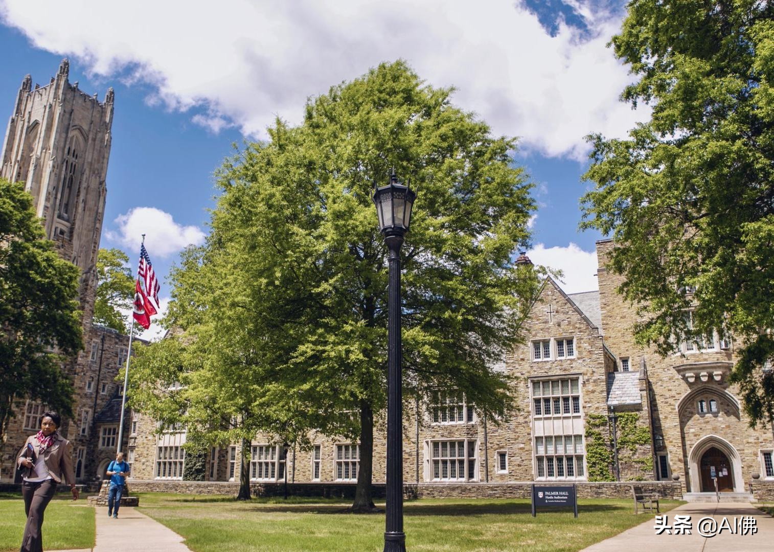 美国50所在大城市的最好大学