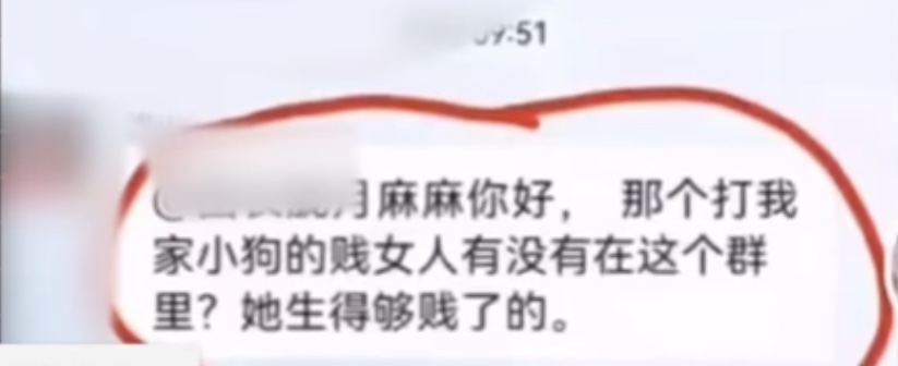 拿命控诉遛狗不牵绳！湖北女子跳楼自杀，被老太围追辱骂近两个月