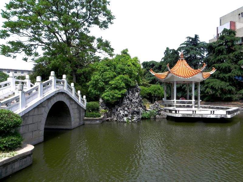 安徽省内排名第二的大学是谁，2022届艺术生报考需要多少分？