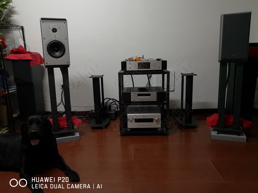 家庭ktv十大音响排名：烧友玩过N款音箱后，总结的发烧心得