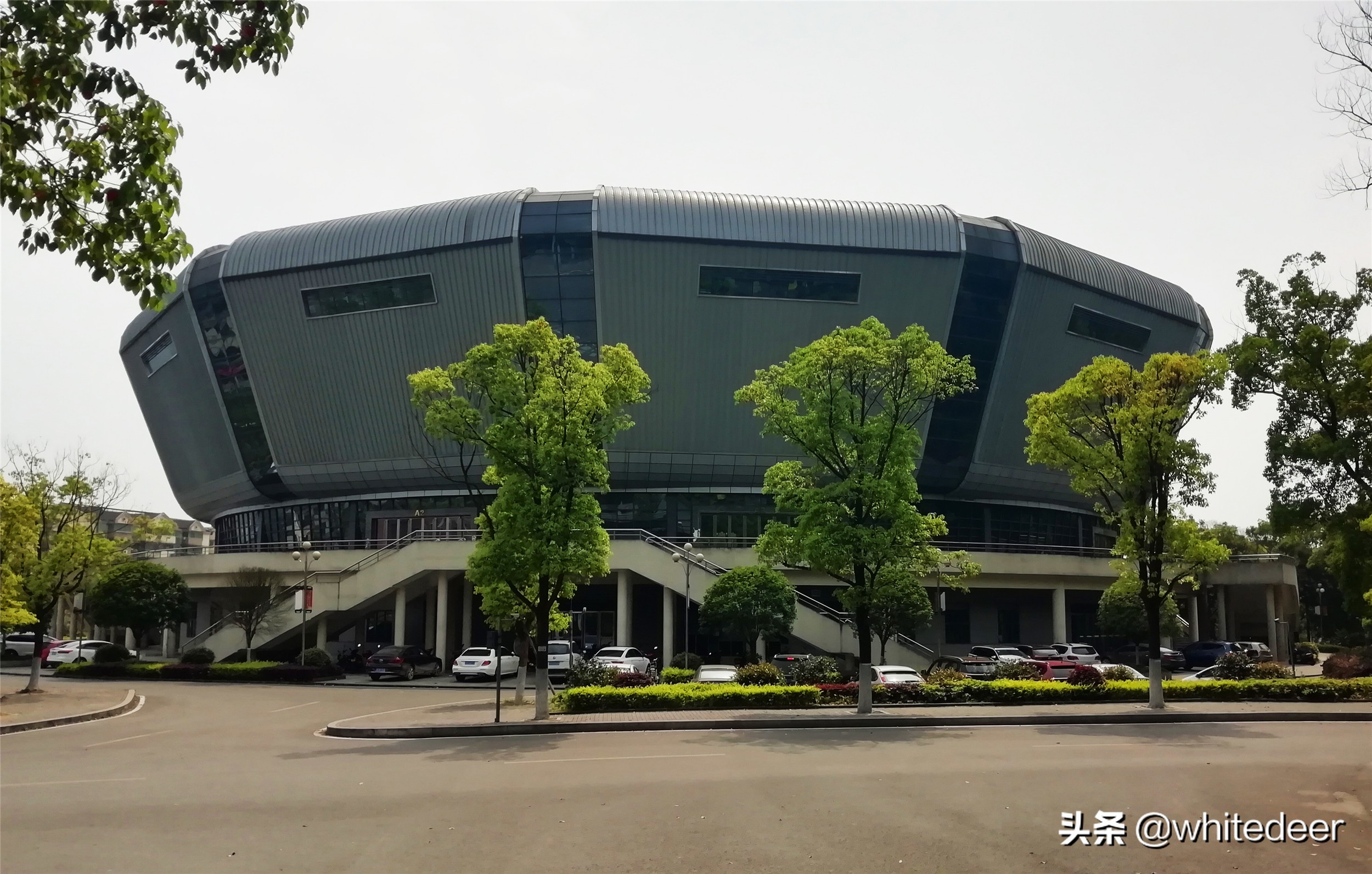 很早就听说重庆 西南师范大学 的校园很美,到位于重庆北碚的校区,的确