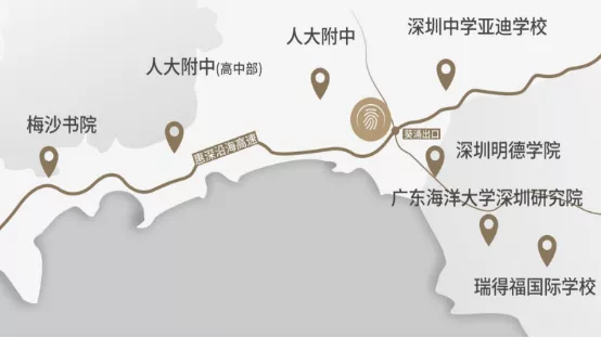 汇聚人大、深中、明德等多所名校，深圳新兴教育强区正在崛起