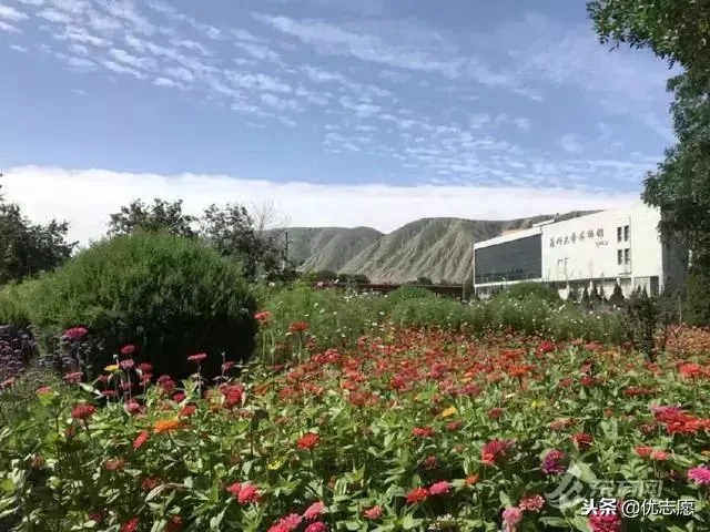 “最惨”的985和211大学，地处偏远，说多了都是泪！