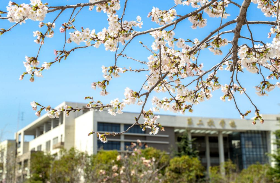 一本压线的考生，报考这4所大学更容易被录取，性价比还很高