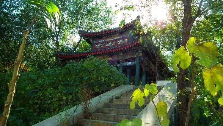 他是北京大学最不愿提起的学霸，令母校蒙羞，令家乡受辱