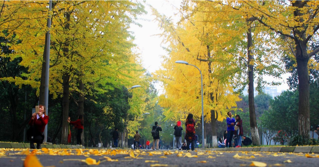 高校改名惨“翻车”，985院校一秒变“野鸡”，改回原名霸气回归