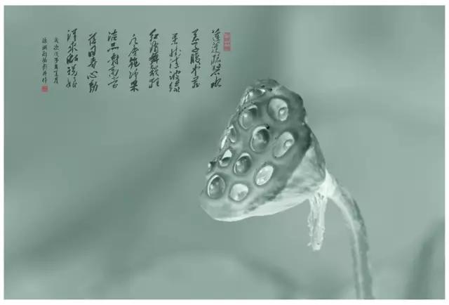 最是缠绵花间词，美到落泪