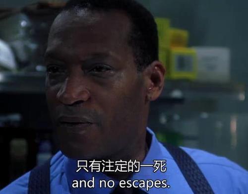 十大恐怖系列电影，《死神来了》第10，《电锯惊魂》未进前三