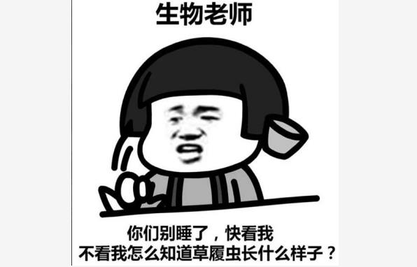 各科老师的怼人语录，句句是经典，学生：是如何做到全国统一的