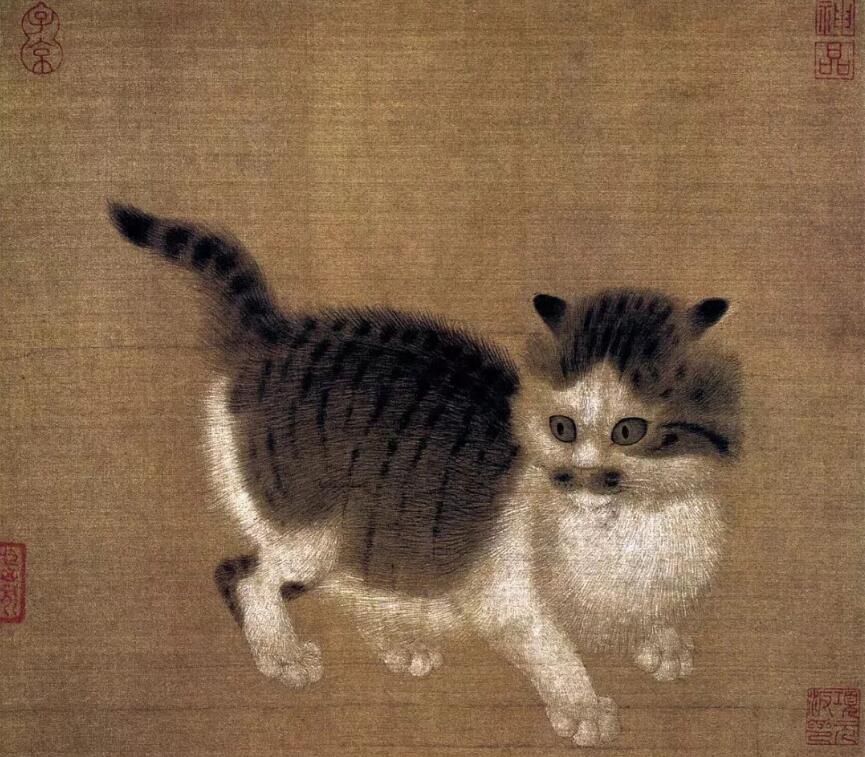 咏猫的诗句有哪些(猫的诗句有哪些)