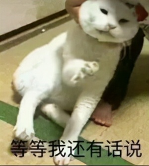 日本主播把养了100天的宠物猪烤着吃了，结果不到10天猪又复活了