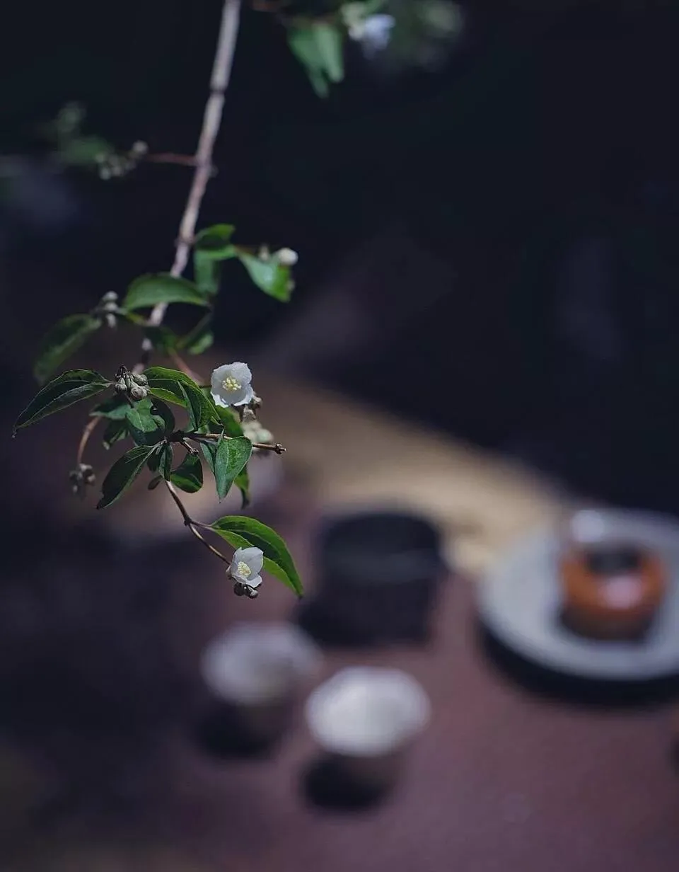 寻一方清净小院,守得清欢慰平生