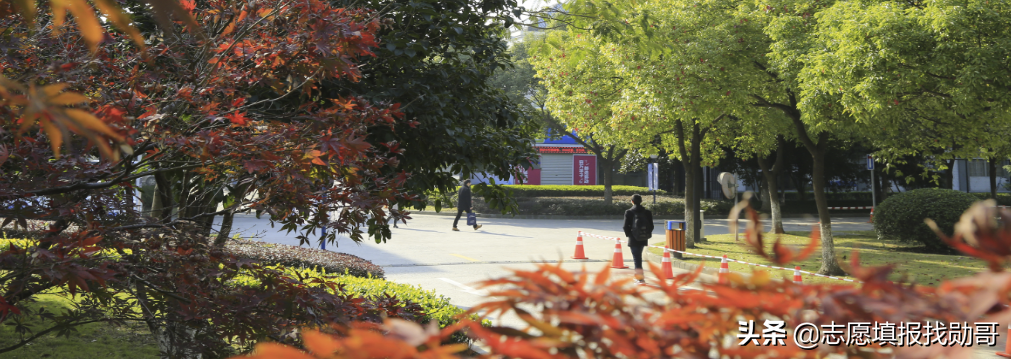 这9所“独立医学院校”性价比高，报考难度小，师资力量强