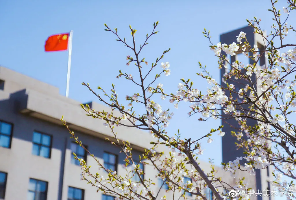 艺考资讯 | 九大美院的校园景色battle，也是神仙打架