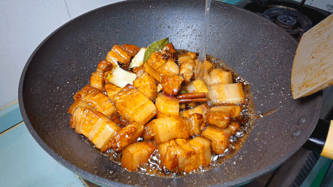 紅燒肉怎么做好吃,紅燒肉怎么做好吃不油膩軟爛