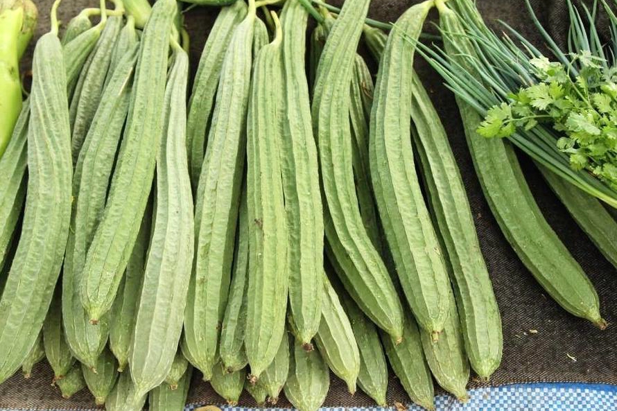 伊麗莎白瓜的營養(yǎng)價值,伊麗莎白瓜的營養(yǎng)價值及功效與作用