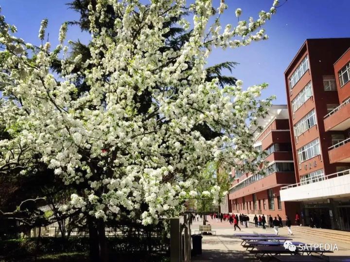 《2021胡润百学·中国国际学校百强》榜单发布，这所学校蝉联第一