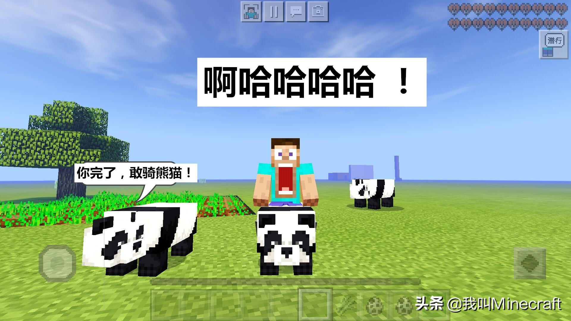 我的世界：熊猫如何驯服？新版MC的3种乘骑方法，你选哪个？