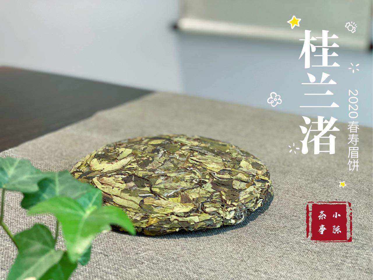 撬白茶饼的错误方法，老虎钳我忍了，微波炉加热是什么操作？