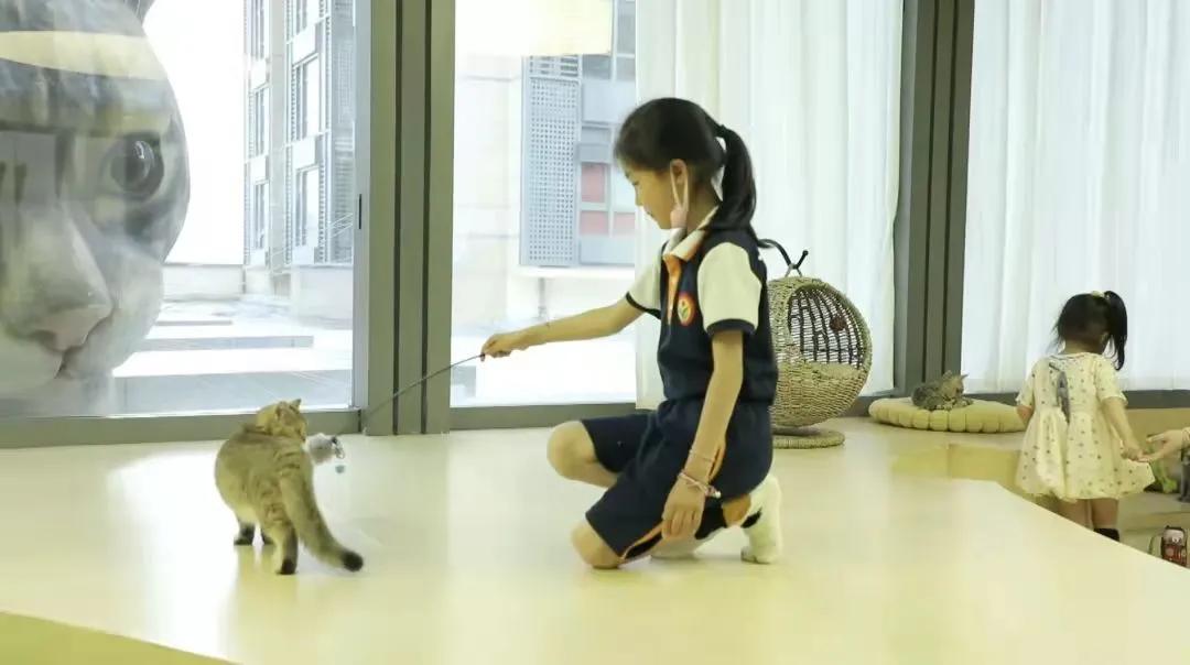 北京宠物主题店大盘点！国庆出游远离人从众，小众萌宠店推荐给您