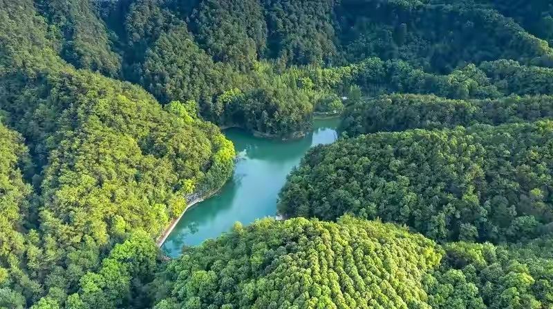 重庆缙云山(缙云山最强攻略——教你如何在一日内从山顶玩到山脚)