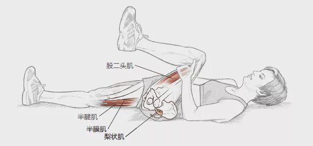 跑步容易受傷？7大練習動作預防跑步損傷