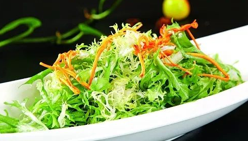 苦菊的种植时间及种植方法（菊苣的种植方法和时间）-大连信息网