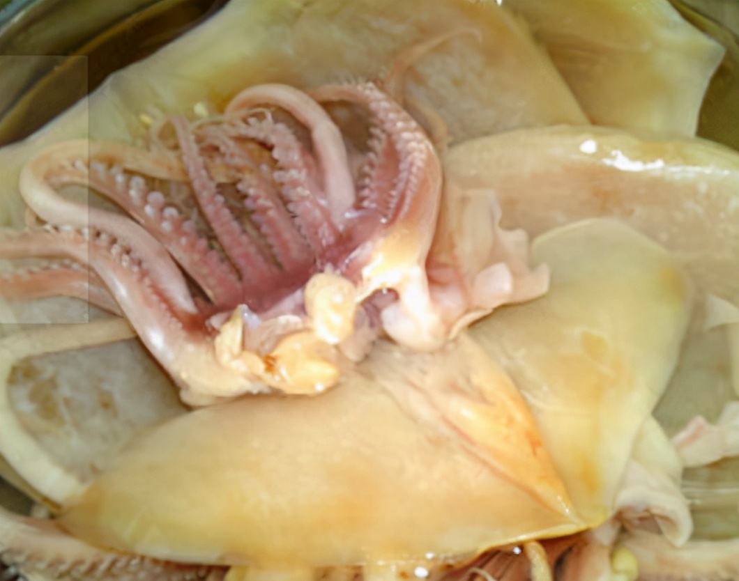 干鱿鱼清水泡发就错了干鱿鱼用什么水泡发