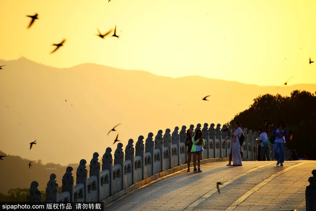 绝美！站在桥上看风景，北京的秋天美得似油画~