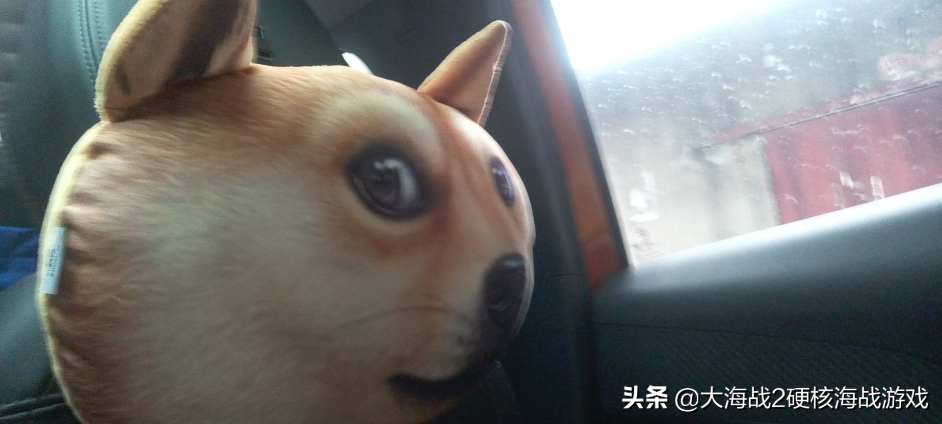 车主主动探访神龙汽车武汉生产线，看神龙的改变！PSA标致雪铁龙