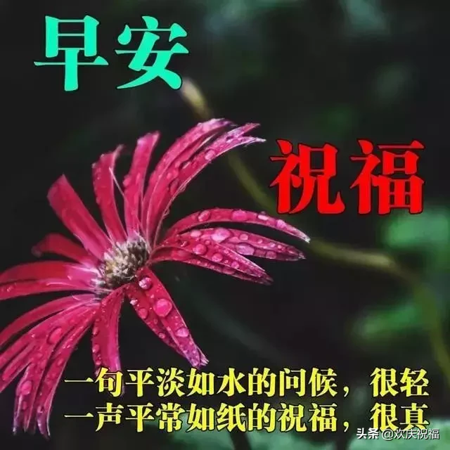 路在脚下，自己走；事在身上，自己担，，早安