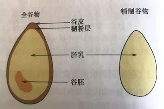 意面的热量（掌握这三种方法吃意大利面减肥）