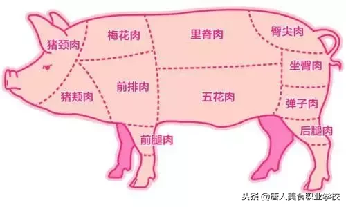 里脊肉是哪个部位（图文讲解里脊肉所指的部位）