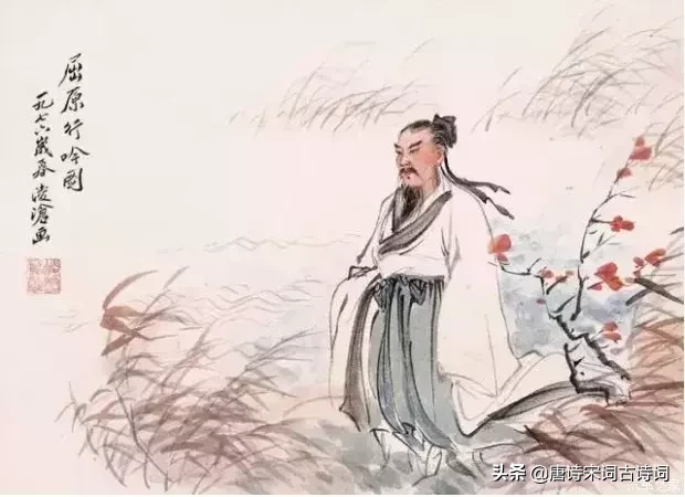 菊花：重阳节，我就是最靓的仔