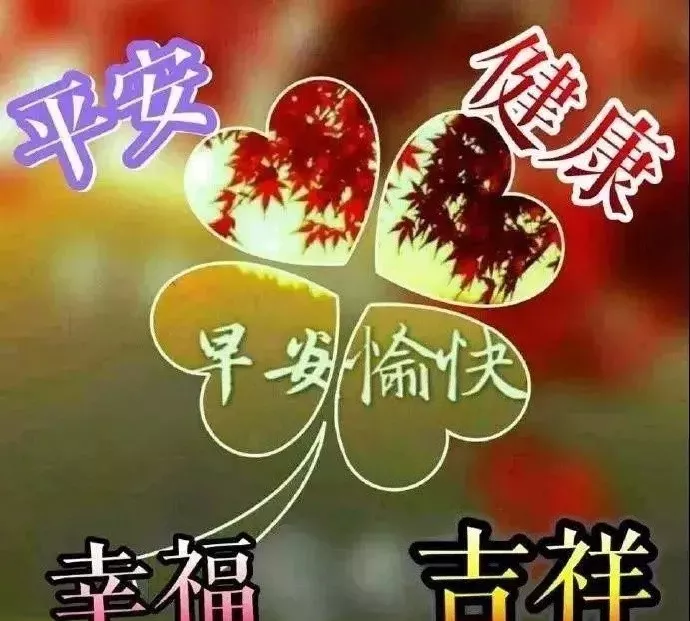 友谊不必朝朝暮暮，记得就好，问候无需语句优美，真心就好，早安