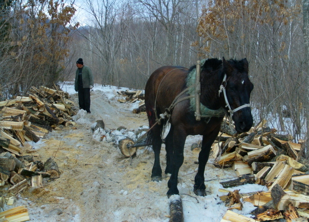 足球在草地上滚动是平移吗（初中物理11.1《功》知识梳理01：功的定义）