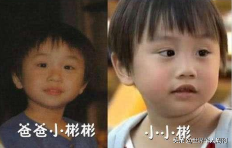 ​2岁出道年赚百万，被父母当提款机的童星小小彬，现状令人唏嘘