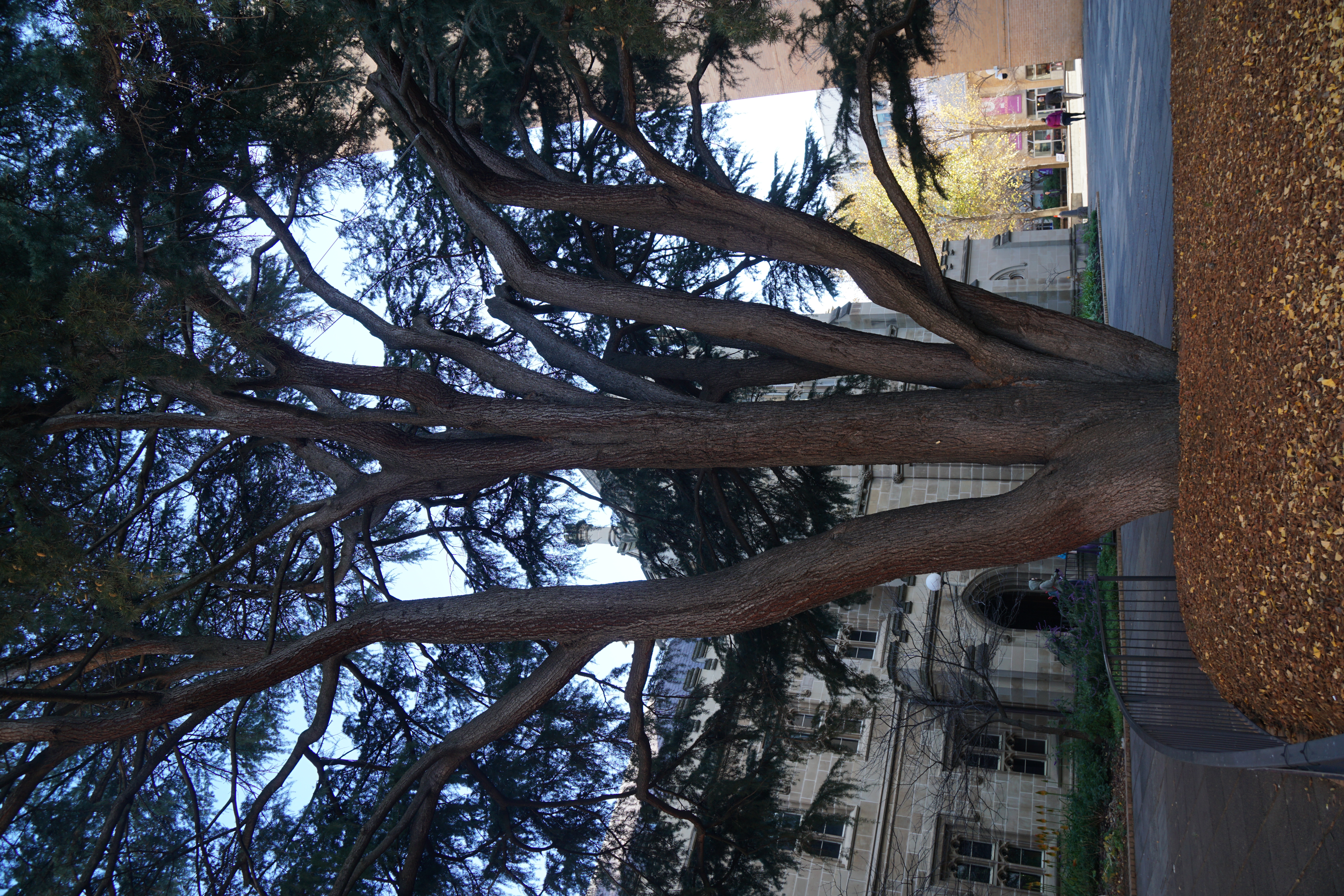 我们将在后人的 敬重中成长